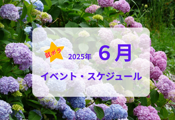 就ボラ6月のスケジュール